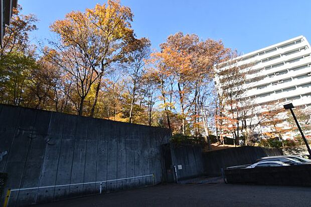 駐車場の様子です。