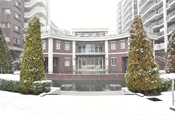 雪の舞った共用...