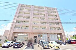 ベルヴィオウミ