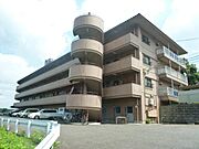 石山駅より徒歩61分 築45年6ヶ月 4階建の賃貸物件