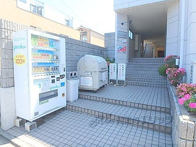 7 / 11