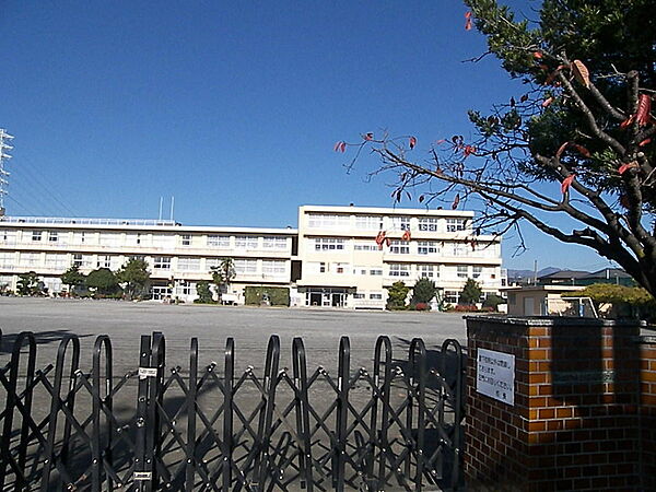 近隣施　桜井小学校