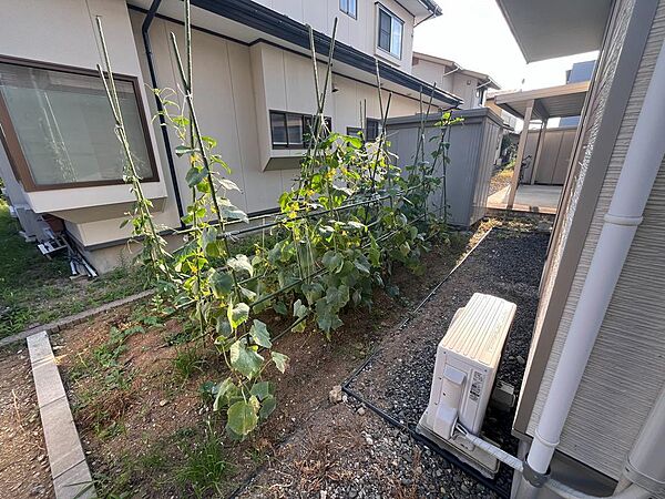 建物脇の家庭菜園スペース。現在も野菜を育てており、そのままお引き継ぎいただけます。土づくりが済んでいるので、入居されてすぐに家庭菜園やガーデニングをお楽しみいただけます