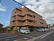 森の木ハイツ 2階 築37年10ヶ月の賃貸物件