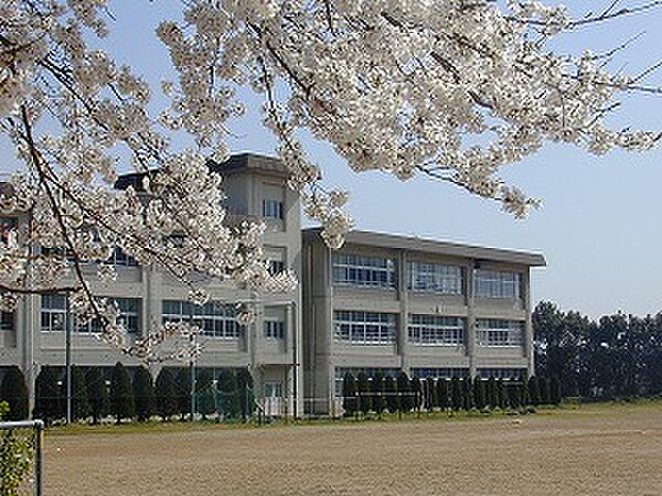 画像17:福知山市立桃映中学校（399m）