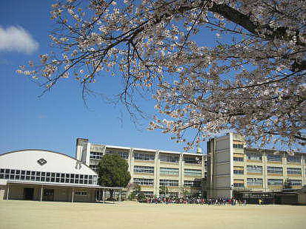 画像12:福知山市立大正小学校（2810m）