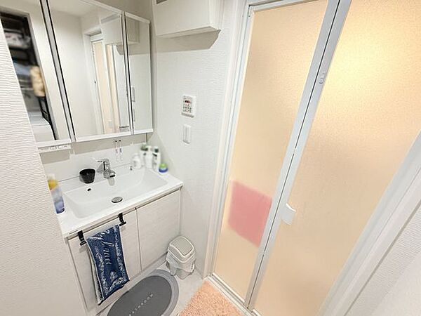 細かなものが多くて雑になりがちなサニタリー。そんな悩みを解決してくれる収納スペースが設けられた洗面化粧台。