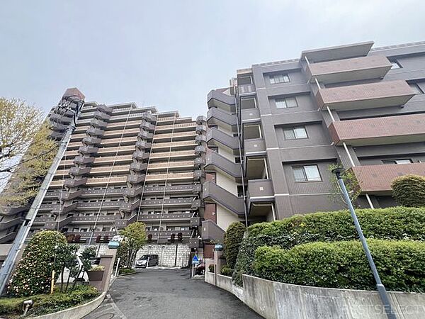 外観：311002376479