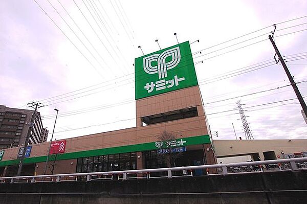 サミットストア鳩ヶ谷駅前店 810m