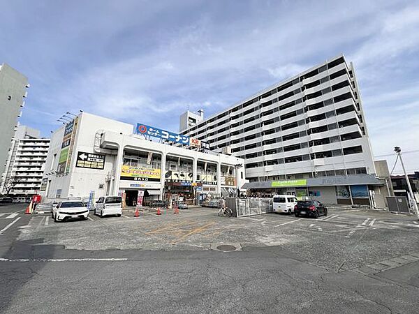 ホームセンターコーナンドイト朝霞店 （徒歩10分） 800m
