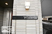 Wisteriaのイメージ
