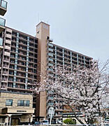 ダイアパレス文理大南弐番館の賃貸物件