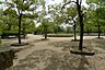 周辺：高松中央公園(公園)まで250m