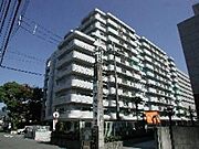サーパス第2旭町 10階 築38年8ヶ月の賃貸物件