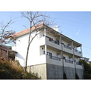 レジデンス愛和 1階 築41年5ヶ月の賃貸物件