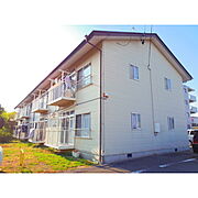 コーポ平岡A 2階 築33年7ヶ月の賃貸物件