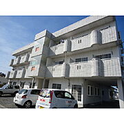 東栄マンション 3階 築34年7ヶ月の賃貸物件