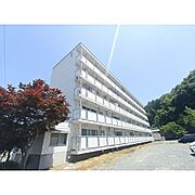 ビレッジハウス伊那福島2号棟 1階 築47年11ヶ月の賃貸物件
