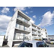MAISON根岸の賃貸物件