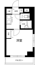 セントパレス本蓮沼 3階/-