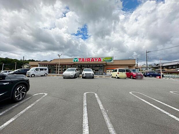 エコスTAIRAYA 元八王子店迄640ｍ