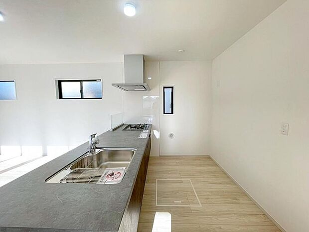 【2026年01月撮影】