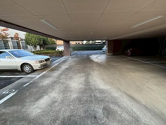 駐車場 サニーコート八王子 5階/-