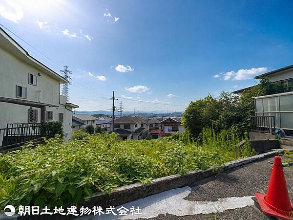 【2026年7月撮影】