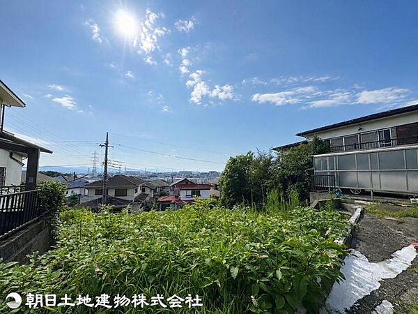 【2026年7月撮影】
