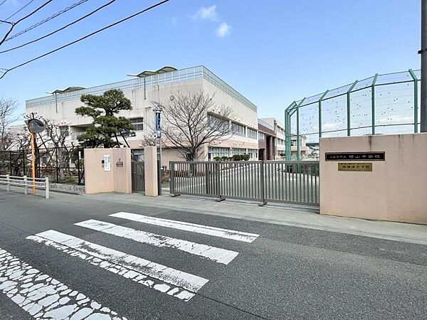 八王子市立横山中学校迄810ｍ