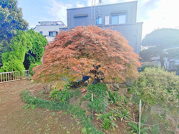 季節の変化を楽しめる庭は気分も晴れやかにしてくれます