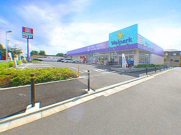 ウェルパーク相模原淵野辺店