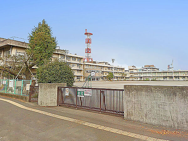中央小学校