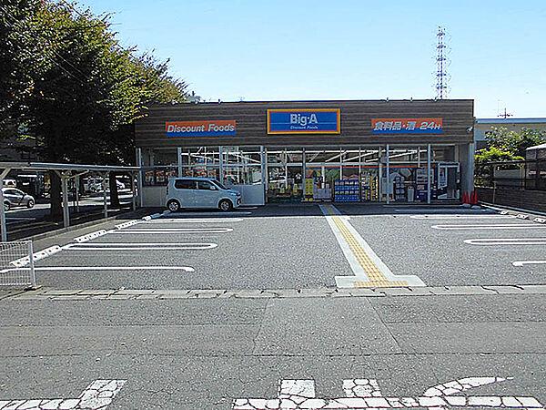 ビッグ・エー相模原共和店
