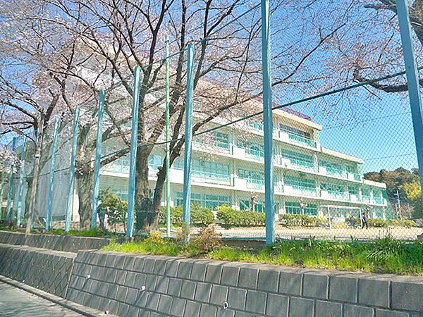 南大谷中学校