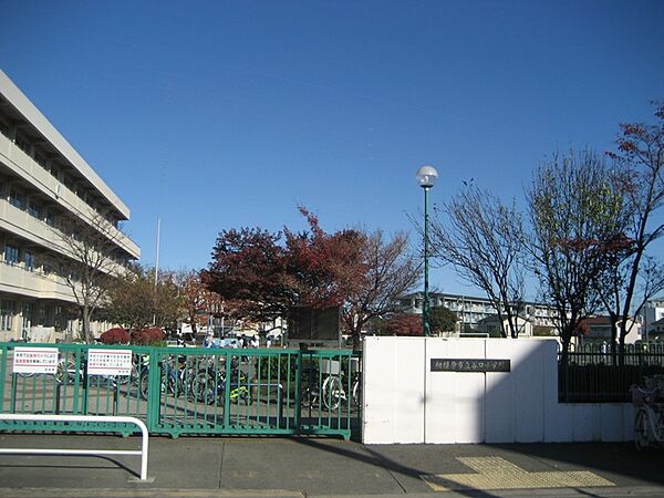 谷口小学校