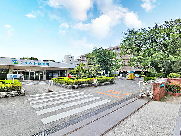 さがみ林間病院