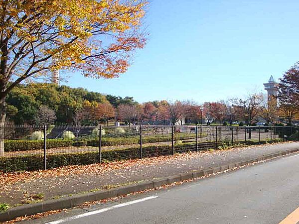 相模原麻溝公園