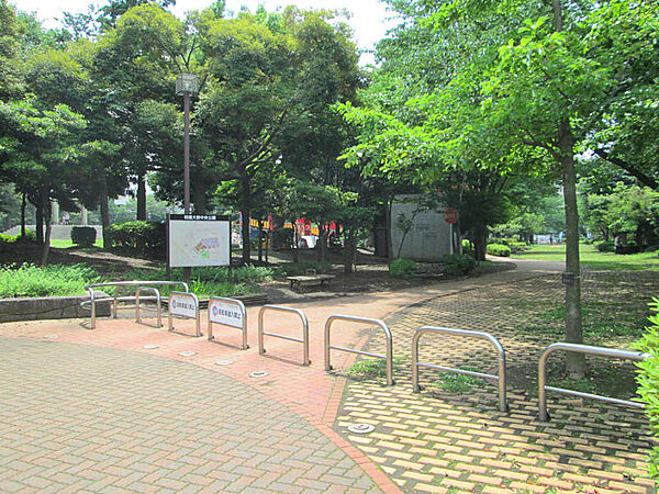 相模大野中央公園