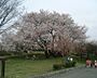 周辺：大谷近隣公園1185m
