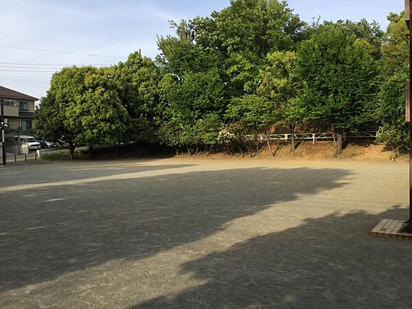 緑を身近に感じられる近隣公園