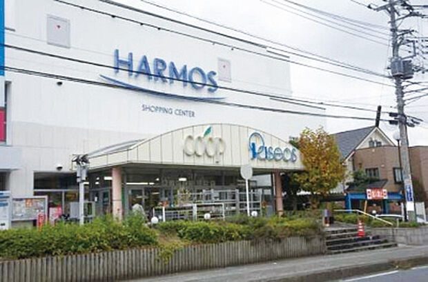 【ハーモス座間】 野菜が安くて新鮮です。2階にはダイソーとパシオスがあるので便利です。