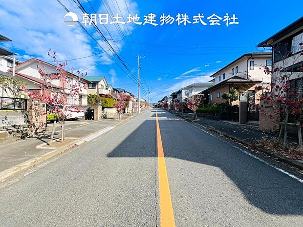 【現地写真 (11月21日撮影)】