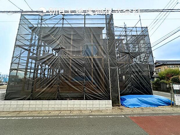 【現地写真 (11月6日撮影)】