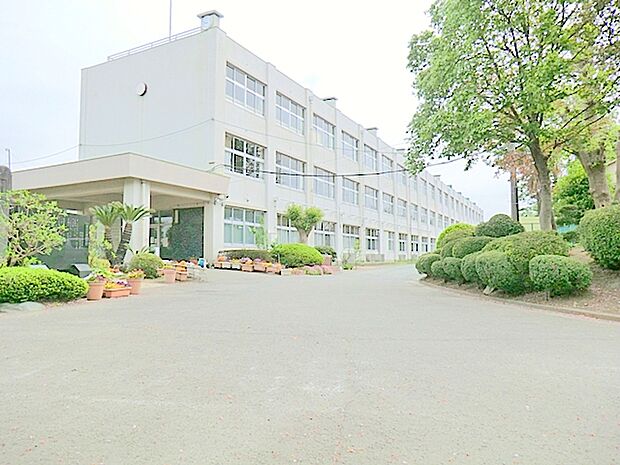 【寒川町立寒川小学校】　寒川町中央に位置し小高い丘の上に位置します。 寒川で最初の小学校です。桜も樹齢が古く立派で満開の時期は圧巻です 。