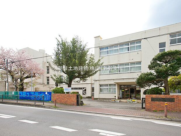 【愛川町立中津小学校】　学校のシンボルでもある「ゆりの木」は、時期になると色鮮やかな姿を見せ、とても綺麗です！