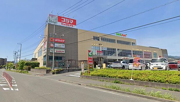 【ヨークフーズ 北金目店】