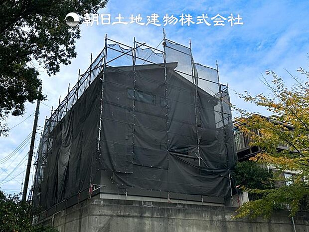 【現地写真 (11月6日撮影)】