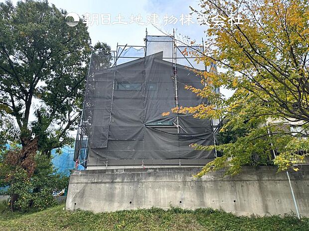 【現地写真 (11月6日撮影)】