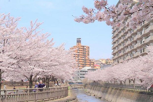 【北部公園】　市営の体育館やプール、テニスコートやジムなどの施設が隣接された公園です。小川が流れていて風流があります。